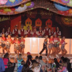 Bilder vom 08.02.2026 (151/227)