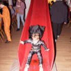 Bilder vom 08.02.2026 (220/227)