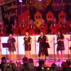 Bilder vom 17.02.2026 abends (271/356)