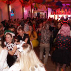 Bilder vom 17.02.2026 abends (286/356)