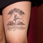 Bilder vom 17.02.2026 abends (315/356)