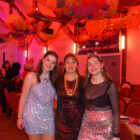 Bilder vom 17.02.2026 abends (342/356)